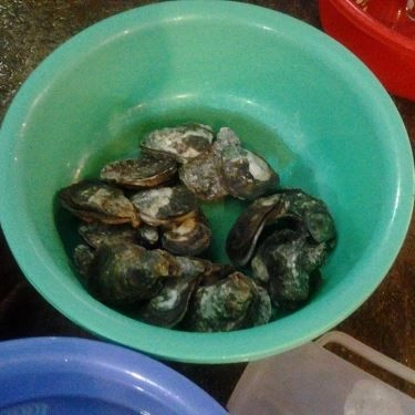 Tổng hợp- Quán Ăn Nam Béo - Quán Nhậu Hải Sản