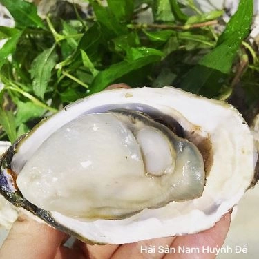 Tổng hợp- Quán Ăn Nam Huỳnh Đế - Quán Hải Sản
