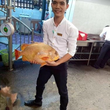 Tổng hợp- Quán Ăn Năm Lửa 2 - Nguyễn Duy Trinh