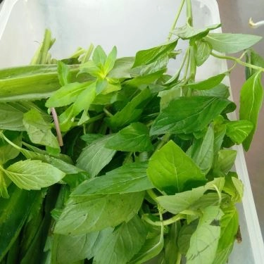 Món ăn- Quán Ăn Phở Nam Ngư Hà Nội