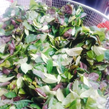 Tổng hợp- Quán Ăn Nem Chua