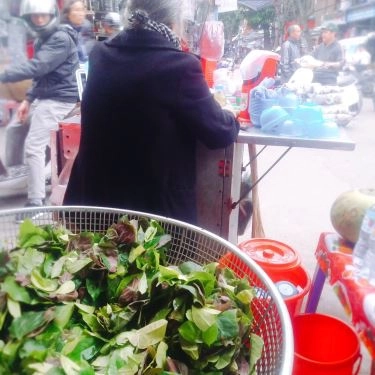 Tổng hợp- Quán Ăn Nem Chua