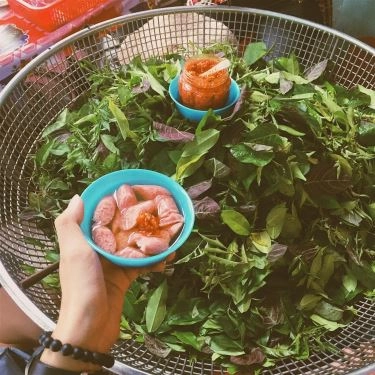 Tổng hợp- Quán Ăn Nem Chua
