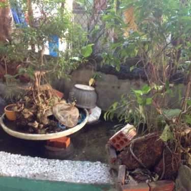 Tổng hợp- Quán Ăn Nem Chua Rán Khang