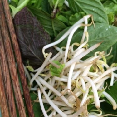 Tổng hợp- Quán Ăn Nem Nướng & Bún Thịt Nướng 243 Tôn Đản