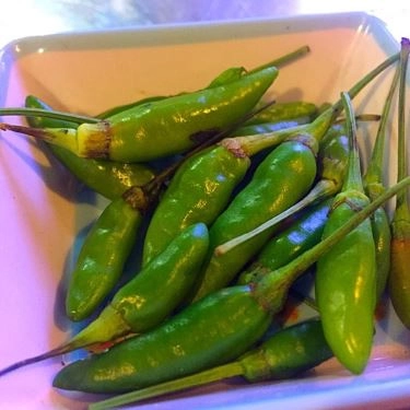 Tổng hợp- Quán Ăn Nem Nướng Thanh Hùng