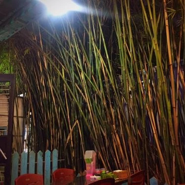 Tổng hợp- Quán Ăn Nem Nướng Thanh Hùng