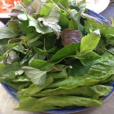 Tổng hợp- Quán Ăn Nem Thiên Hương Viên