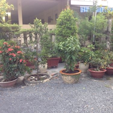 Tổng hợp- Quán Ăn Nem Thiên Hương Viên