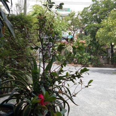 Tổng hợp- Quán Ăn Nem Thiên Hương Viên