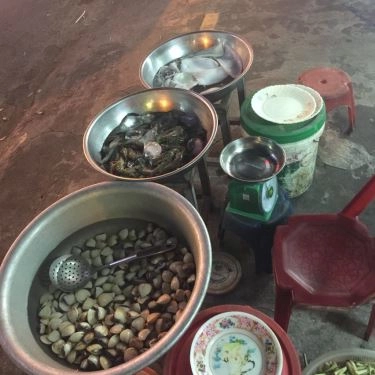 Tổng hợp- Quán Ăn Quán Bà Già - Ốc Nghêu Hấp