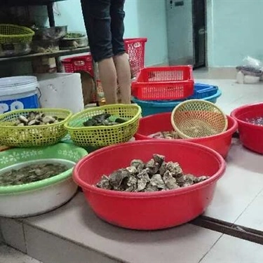 Tổng hợp- Quán Ăn Hải Sản Nghêu