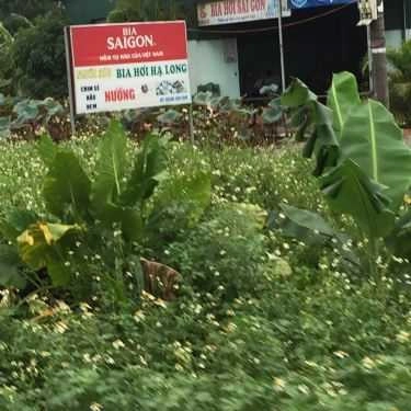 Tổng hợp- Quán Ăn Nghĩa Béo - Bia Hơi & Các Món Nướng
