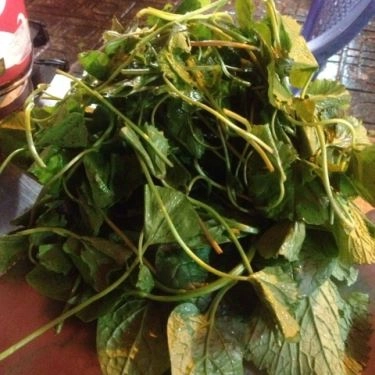 Tổng hợp- Quán Ăn Ngọc Bảo - Lẩu Đuôi Bò