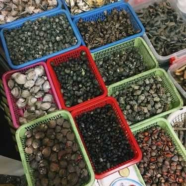 Tổng hợp- Ngọc Sơn - Ốc & Chân Gà Nướng