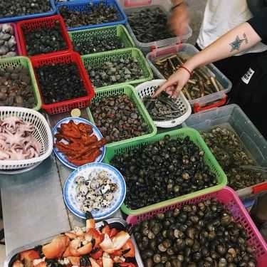 Tổng hợp- Ngọc Sơn - Ốc & Chân Gà Nướng
