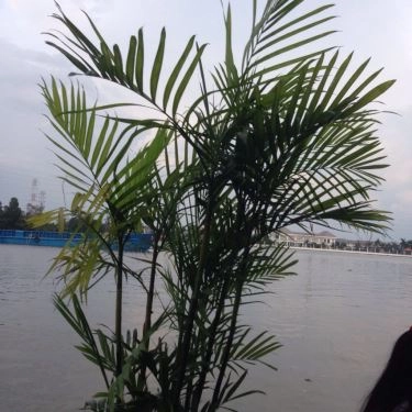 Tổng hợp- Ngọc Thủy 2 - Quán Ăn Gia Đình