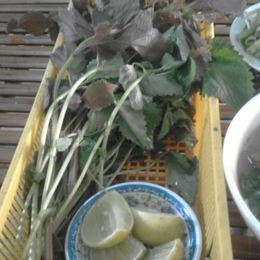 Tổng hợp- Quán Ăn Ngon - Bún Cá Rô Đồng