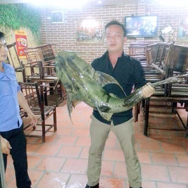 Món ăn- Quán Ăn Ngư Quán - Đặc Sản Cá Sông