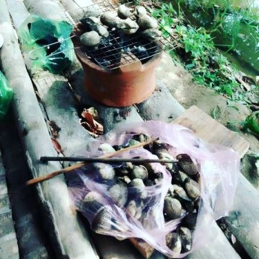 Tổng hợp- Quán Ăn Ngư Trang Quán