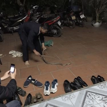 Tổng hợp- Quán Ăn Nguyễn Văn Dực Lệ Mật - Chuyên Thịt Rắn