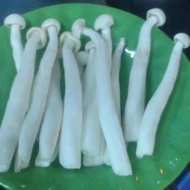 Tổng hợp- Quán Ăn Nguyệt Hỷ - Lẩu Nhúng Và Xiên Que - Nguyễn Tri Phương