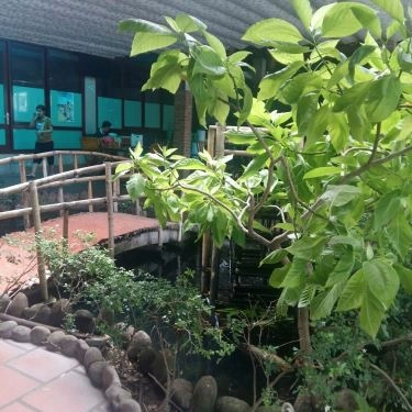Tổng hợp- Nhà Hàng Nguyệt Quế Viên Restaurant