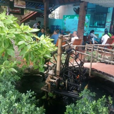 Tổng hợp- Nhà Hàng Nguyệt Quế Viên Restaurant