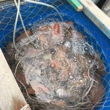 Tổng hợp- Quán Ăn Nhà Bè Bé Ghẹ