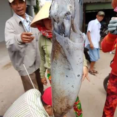 Tổng hợp- Quán Ăn Nhà Bè Bé Ghẹ