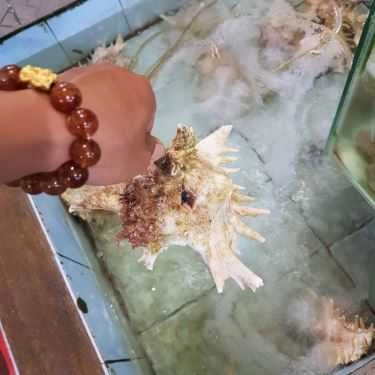 Tổng hợp- Quán Ăn Nhà Bè Bé Ghẹ