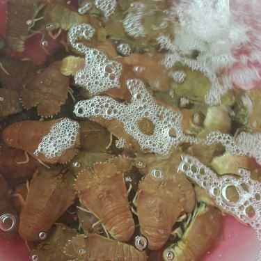 Tổng hợp- Quán Ăn Nhà Bè Bé Ghẹ