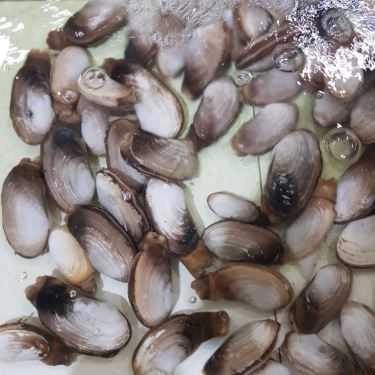 Tổng hợp- Quán Ăn Nhà Bè Bé Ghẹ