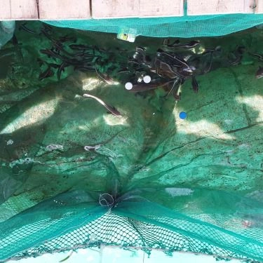 Tổng hợp- Quán Ăn Nhà Bè Hồng Nhàn - Hải Sản Tươi Sống