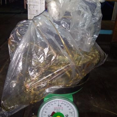 Tổng hợp- Quán Ăn Nhà Bè Hương Biển