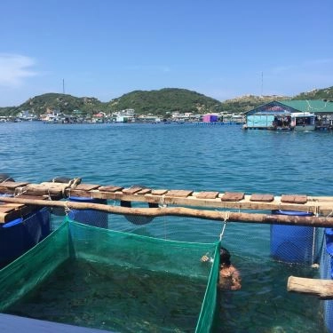 Tổng hợp- Quán Ăn Nhà Bè Long Hương