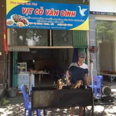 Tổng hợp- Anh Phú - Vịt Cỏ Vân Đình