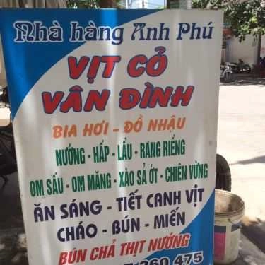 Tổng hợp- Anh Phú - Vịt Cỏ Vân Đình