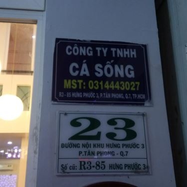 Tổng hợp- Nhà Hàng Cá Sống