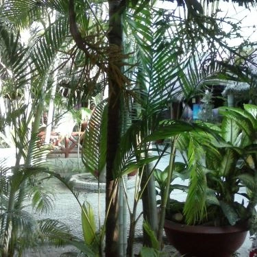 Tổng hợp- Nhà Hàng Đăng Khoa