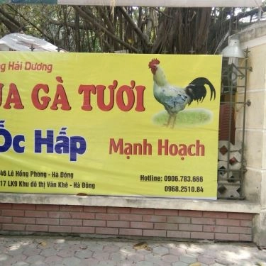 Tổng hợp- Quán Ăn Hải Dương - Vua Gà Tươi & Ốc Hấp