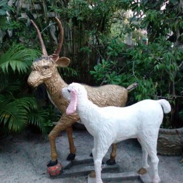 Tổng hợp- Quán Ăn Quán Hải Sản Thủy Triều Cam Ranh