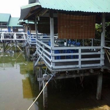 Tổng hợp- Quán Ăn Quán Hải Sản Thủy Triều Cam Ranh