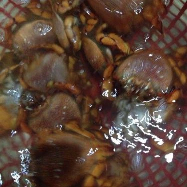 Tổng hợp- Quán Ăn Quán Hải Sản Thủy Triều Cam Ranh