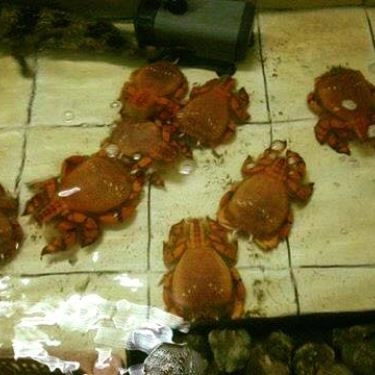 Tổng hợp- Quán Ăn Quán Hải Sản Thủy Triều Cam Ranh