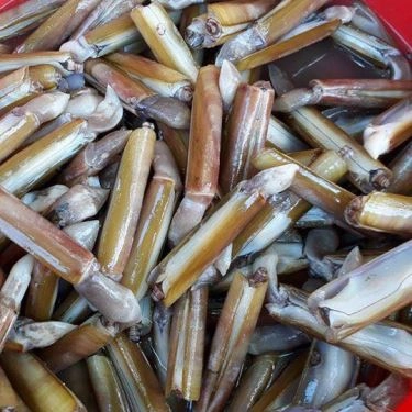 Tổng hợp- Quán Ăn Quán Hải Sản Thủy Triều Cam Ranh