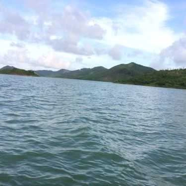 Tổng hợp- Huệ Đà - Gà Đồi Nướng