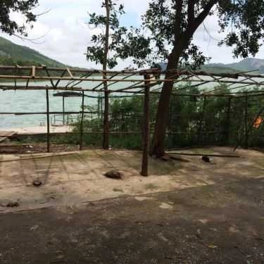 Tổng hợp- Huệ Đà - Gà Đồi Nướng