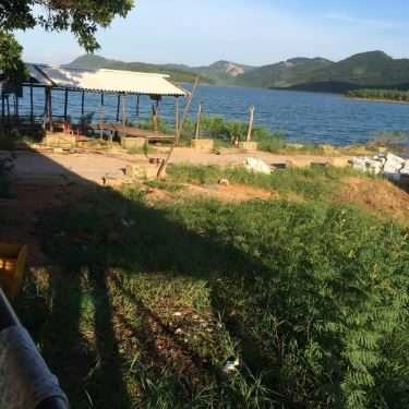 Tổng hợp- Huệ Đà - Gà Đồi Nướng