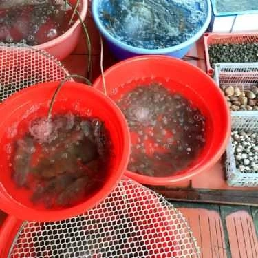 Tổng hợp- Quán Ăn Cá Biển Hưởng Liên